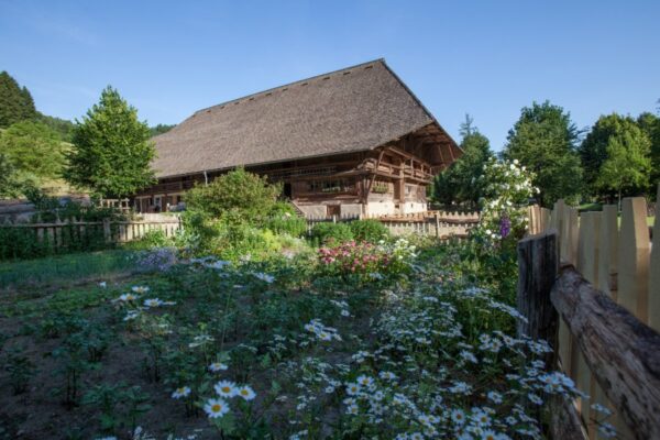 kleines-senfkorn-hoffnung